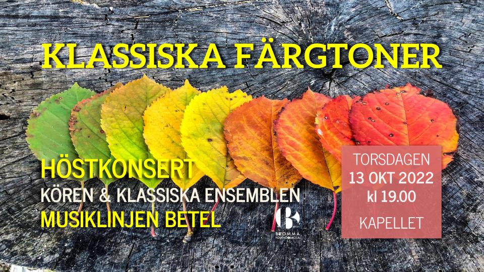 Höstlöv i olika färger